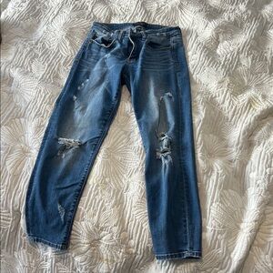 Judy Blue Men's Ripped Skinny Jeans - Classic Blue